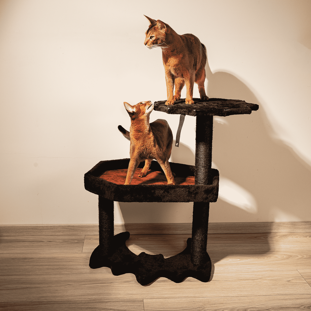 littlesyspooky Gothic Cat Tree with Coffin Cat Bed